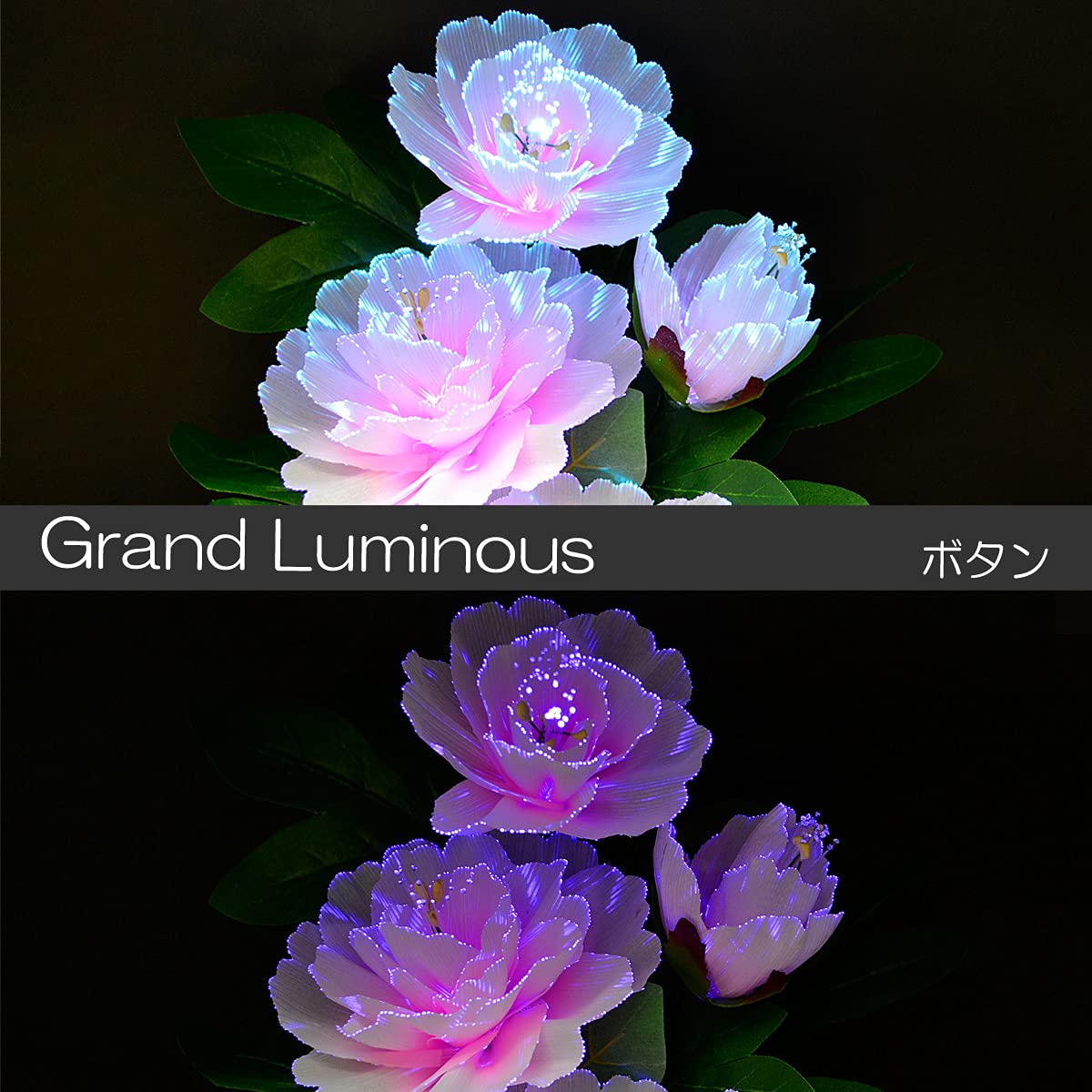 Amazon｜グランドルミナス 盆提灯 06ボタン 高さ40cm LED 電源コード 