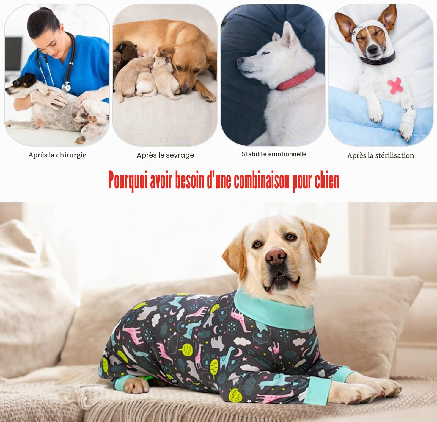 Ensemble de Récupération Post Chirurgicale pour Chien, Combinaison Pyjama pour Chien Corps Entier Grande Taille Moyenne Chien Récupération Ensemble Chirurgical Anti Léchage