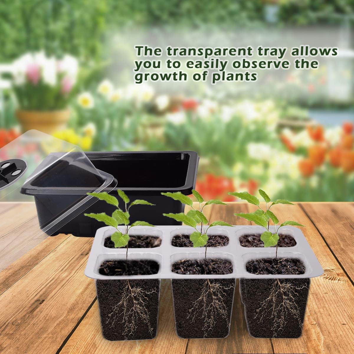 YSBER 10-Pack Seed Starter Tray Kit 60 Cells Humidity Adjustable Plant Starting Kit with Dome and Base Greenhouse Grow Trays Mini Propagator for Seeds Growing (Black/10pack, 6 Cell)