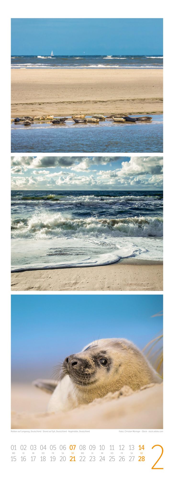 Wellengang Triplet-Kalender 2027 | Spaziergang entlang der Küste | Stilvoller Meeres-Kalender im schlanken Hochformat (24x66 cm) | Triplet-Fotografie