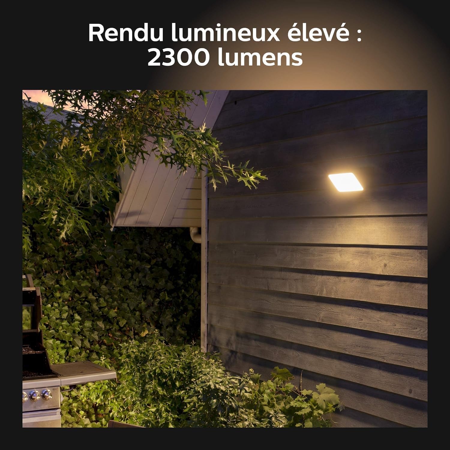 Philips Hue White & Color Ambiance Projecteur Extérieur DISCOVER, Éclairage extérieur en Aluminium Noir, Projecteur lumière compatible avec Alexa, Google Assistant et Apple Homekit