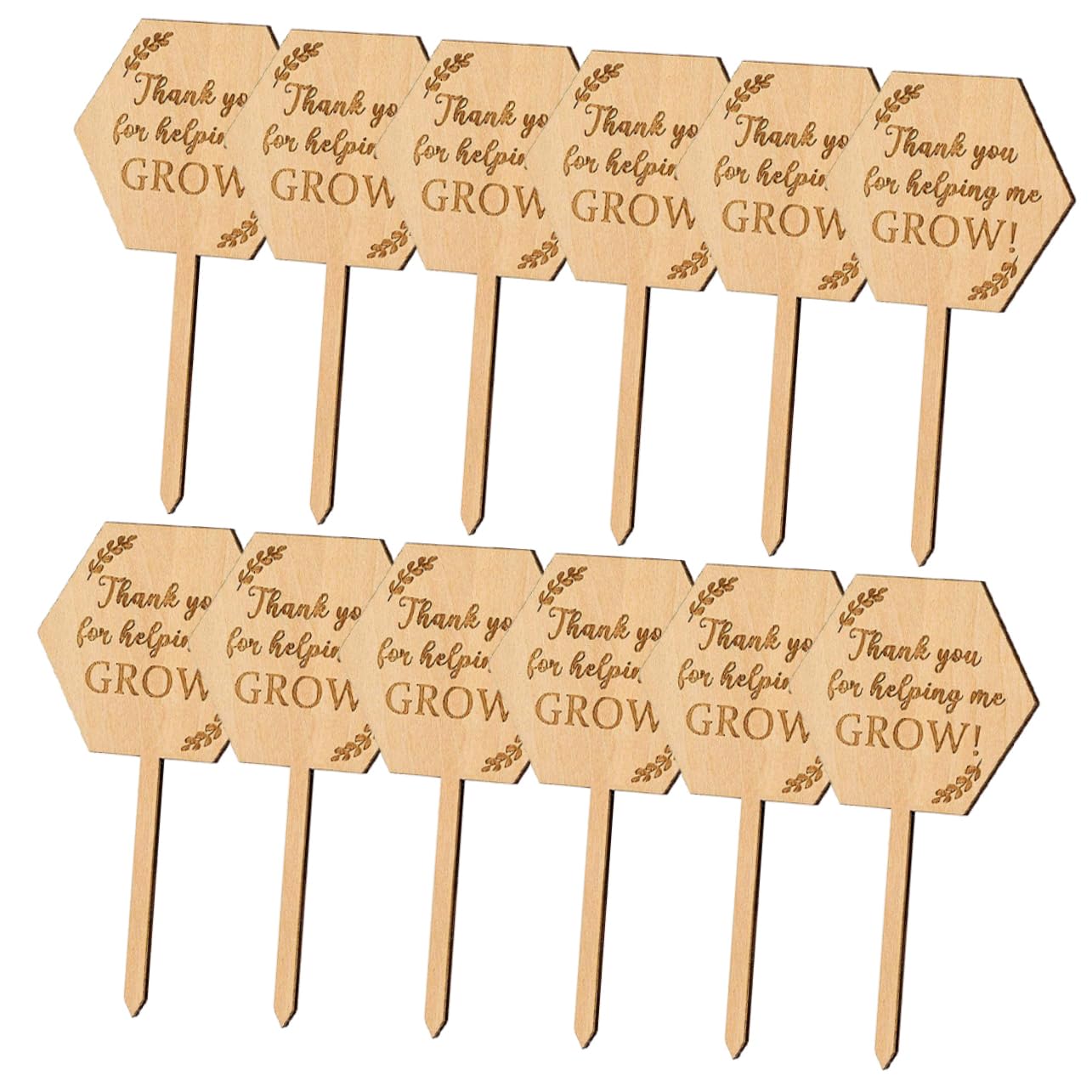 ifundom 5 Set Carta Succulenta Marcatori Da Giardino Etichette Delle Piante Pianta All'aperto Pannelli Di Identificazione Dei Fiori Dell'etichetta Del Vaso Di Legno 20 Pezzi * 5