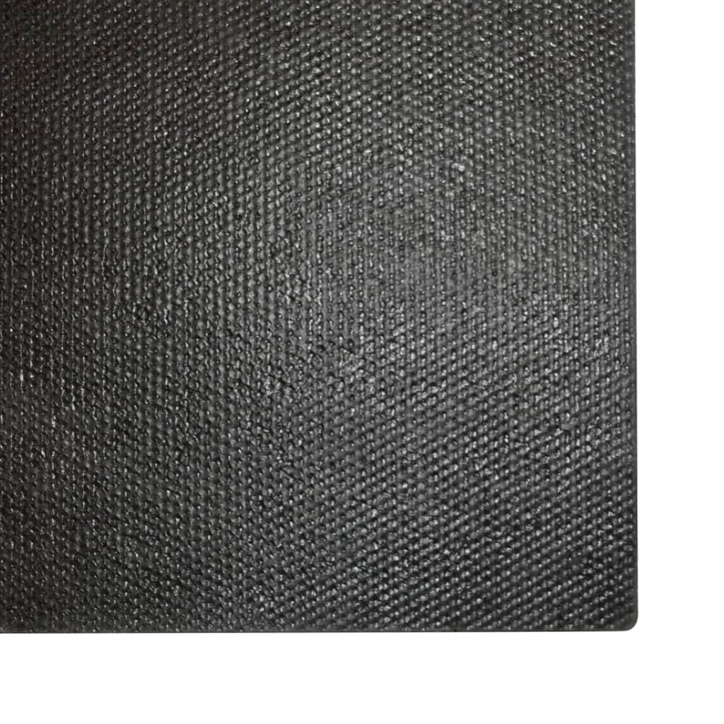 Kokos Fußmatte 2er Set Natur 40x60 cm Türmatte Außen & Innen