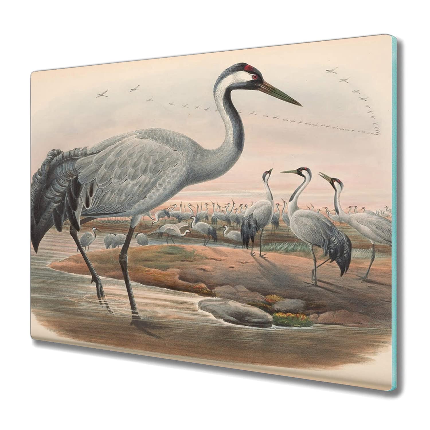 Verre de sécurité 60x52cm Coloray une protection premium pour plaque induction