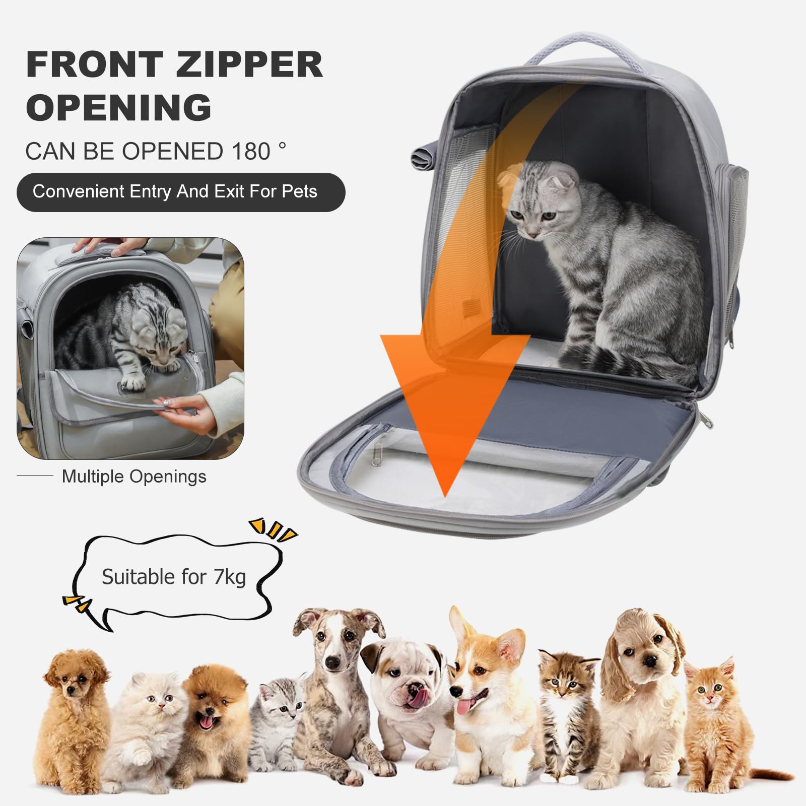 PETCUTE Sac de Transport Chiens et Chats,Sac à Dos en Maille pour Animaux Pliable et Respirant,Spacieux Sac a Dos de Transport Chat avec Matelas en Peluche Amovible,Bandoulière Réglable pour Voyage