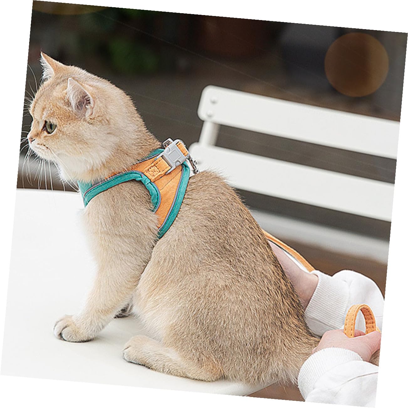 Happyyami 3sätze Katzen Geschirr Mit Verstellbarem Brustgurt Reflektierendes Ausbruchsicheres Katzengeschirr Für Kleine Und Mittlere Katzen Leichtes Und Bequemes Design Für Und