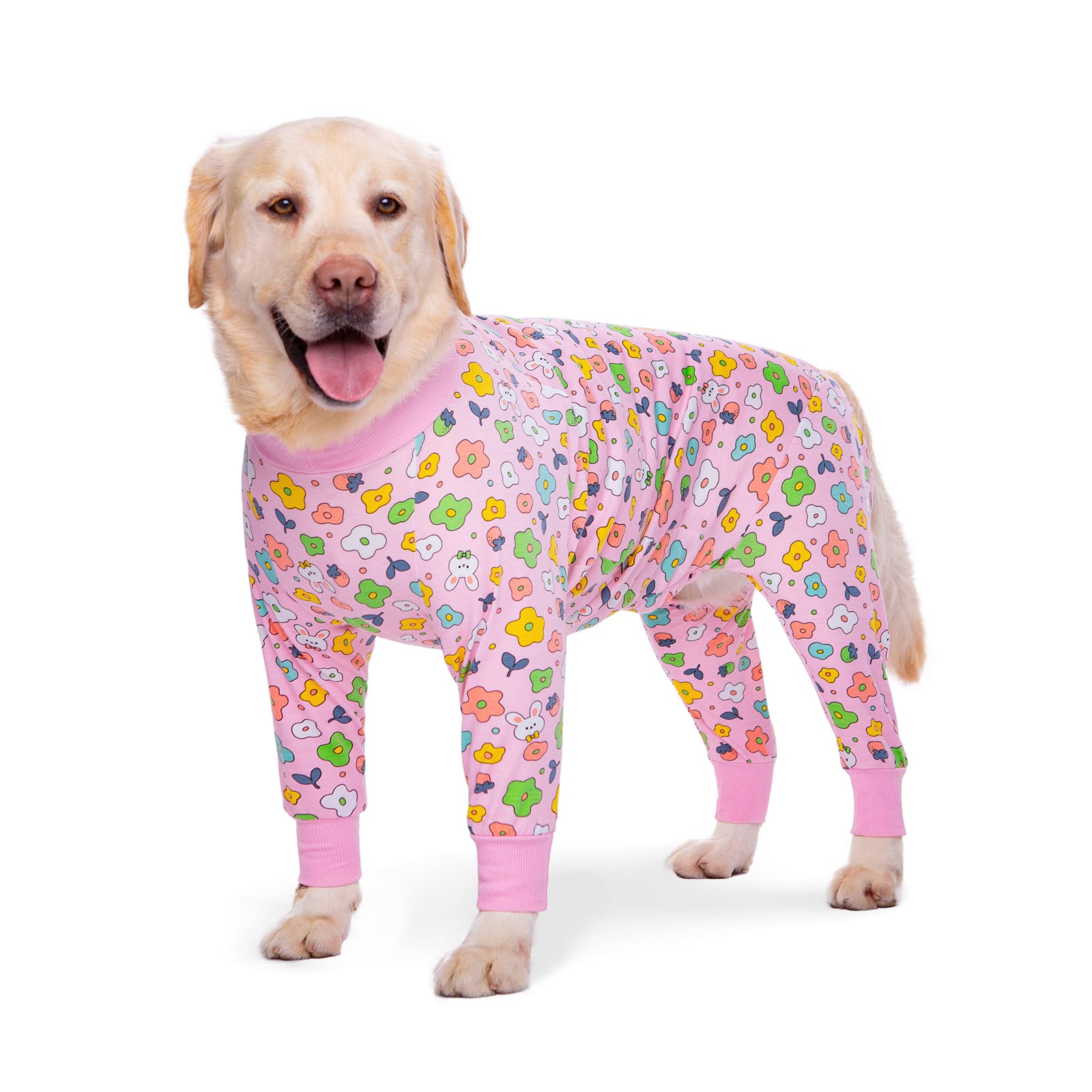 Alternative au cône pour chien avec combinaison de protection des plaies après chirurgie