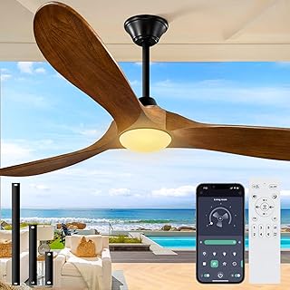 Outdoor Outdoor Ceiling Fan with Light