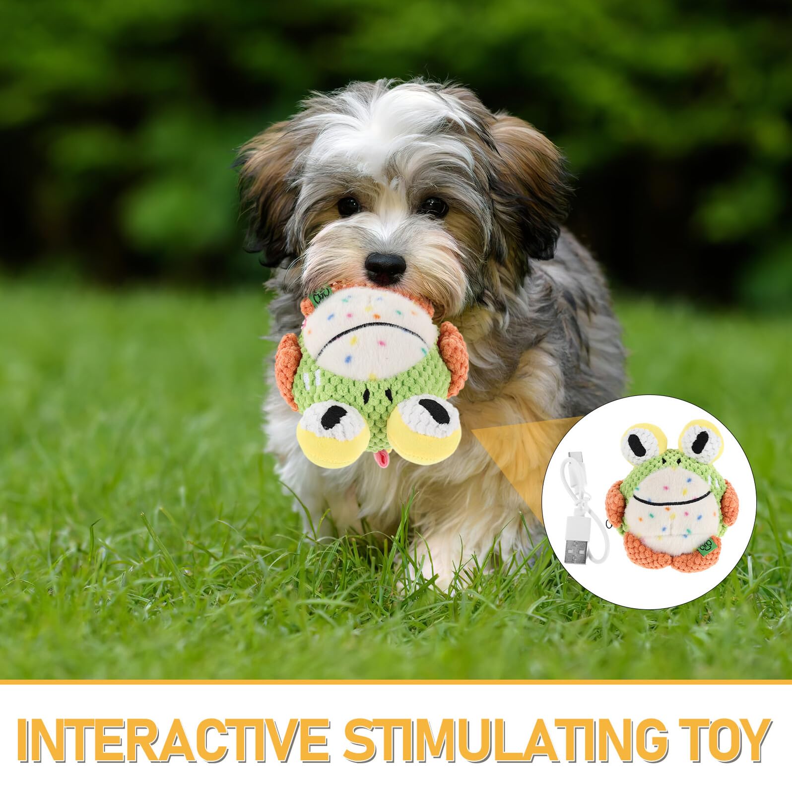 Elektrisches Interaktives Frosch-hundespielzeug zum Kauen für Welpen Robust und Bissfest Springend mit USB-antrieb als Zahnungshilfe und Beschäftigungsspielzeug für Kleine bis