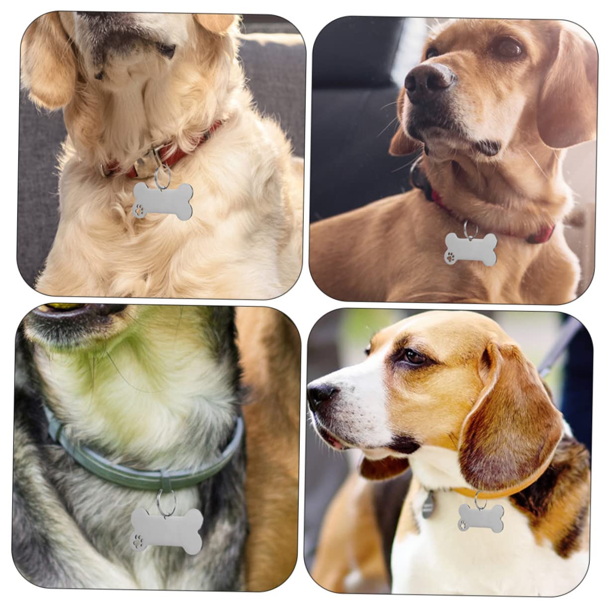 Kisangel 30pièces Médailles Identification pour Chiens Pendentifs Gravés Inoxydable pour Collier De Chiot Et Id Animaux