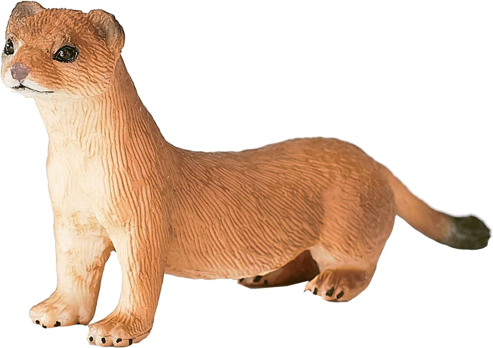 Stoat Wildlife Animal Model Toy Figure