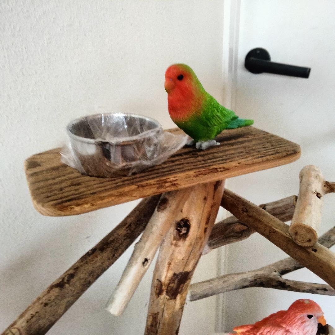 バードアスレチックジム㊻ 天然木 自然木 流木 止まり木 インコ インコ