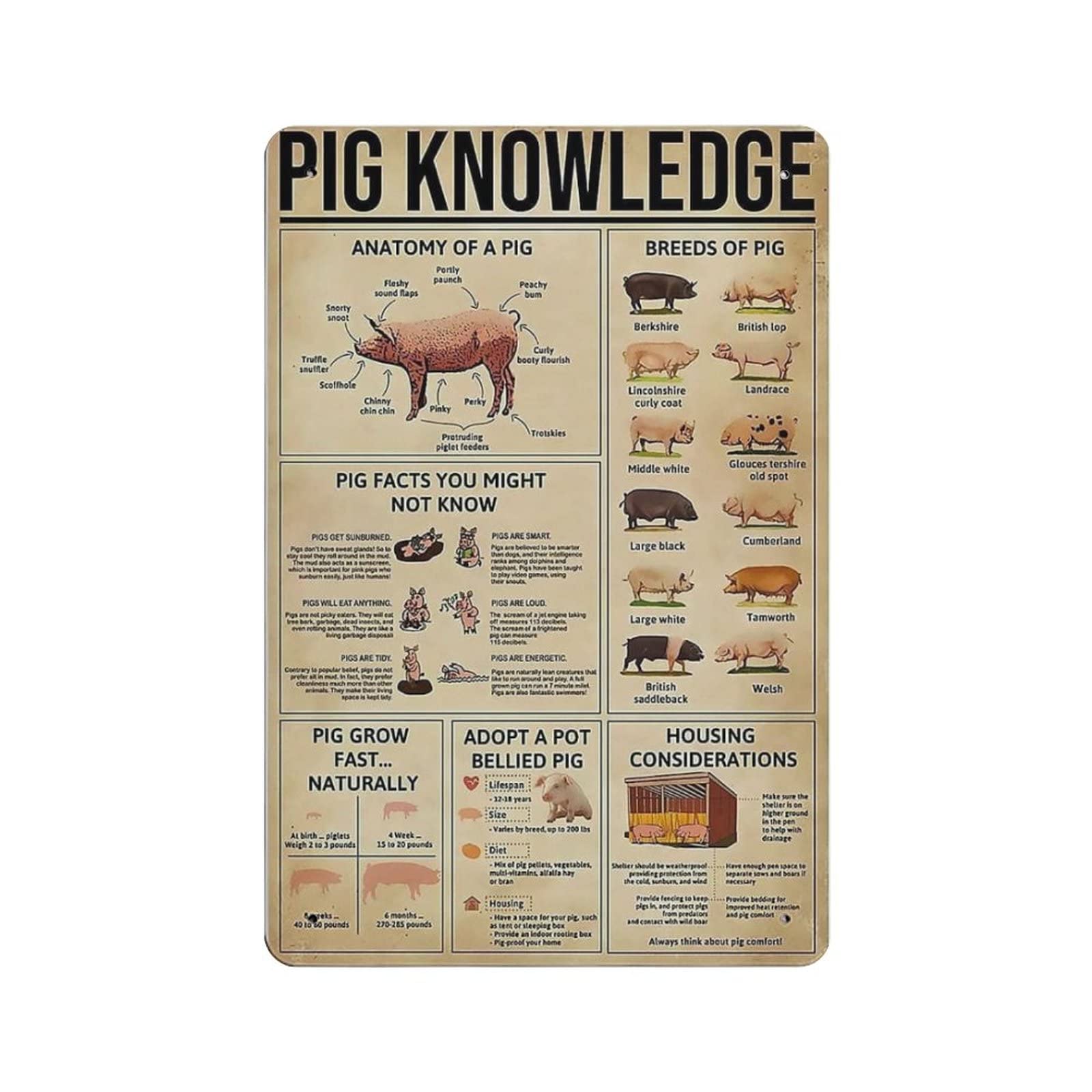 AOOEDM Pig Knowledge Vintage Tin Sign Metal Tin Signs for Man Cave Funny Art Wall Plaque Kitchen Bar Pub Coffee Shop Wall Decor