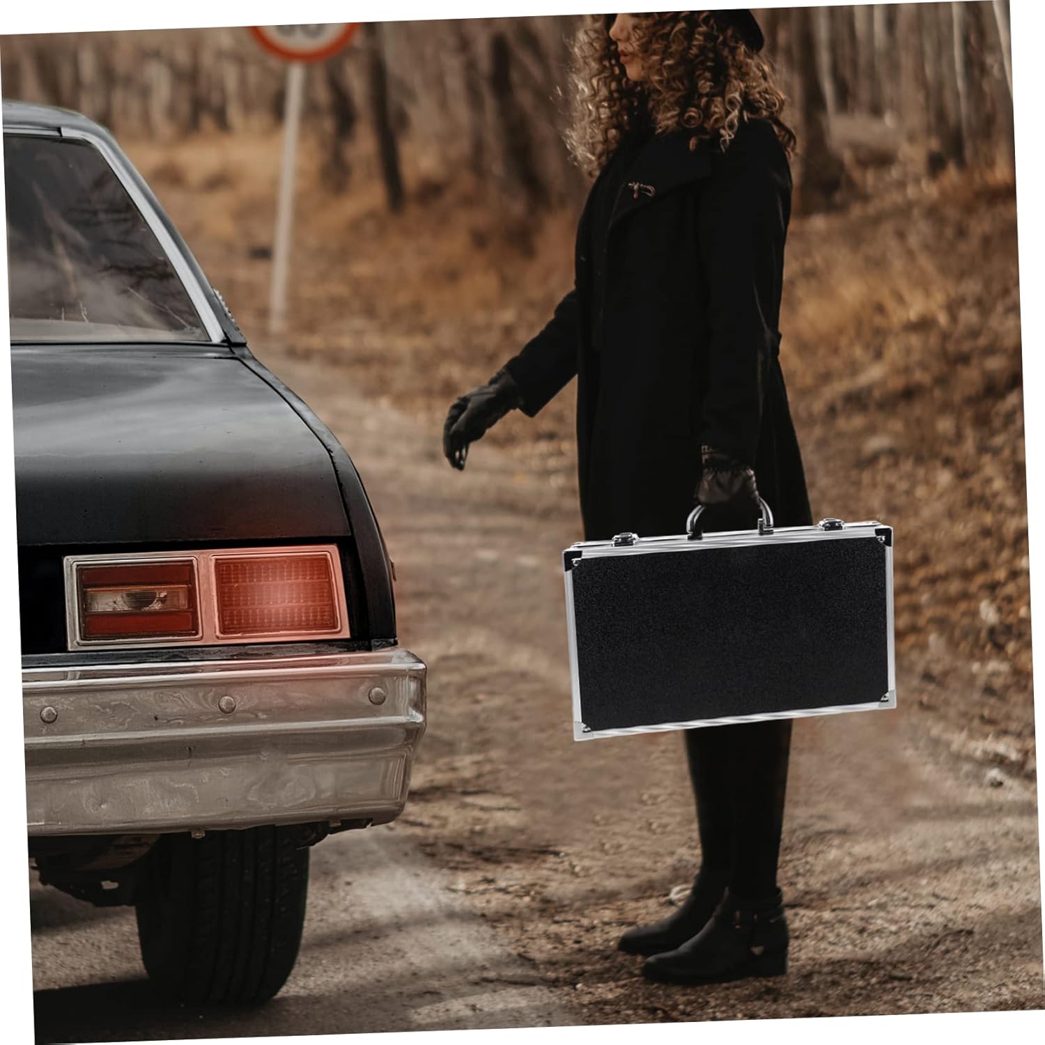 Shockproof Microphone Case for Travel Durable Mic Organizer Box with Water and Scratch Protection Stylish Design for Mobile and Studio Use Fits Various Microphones and Cables