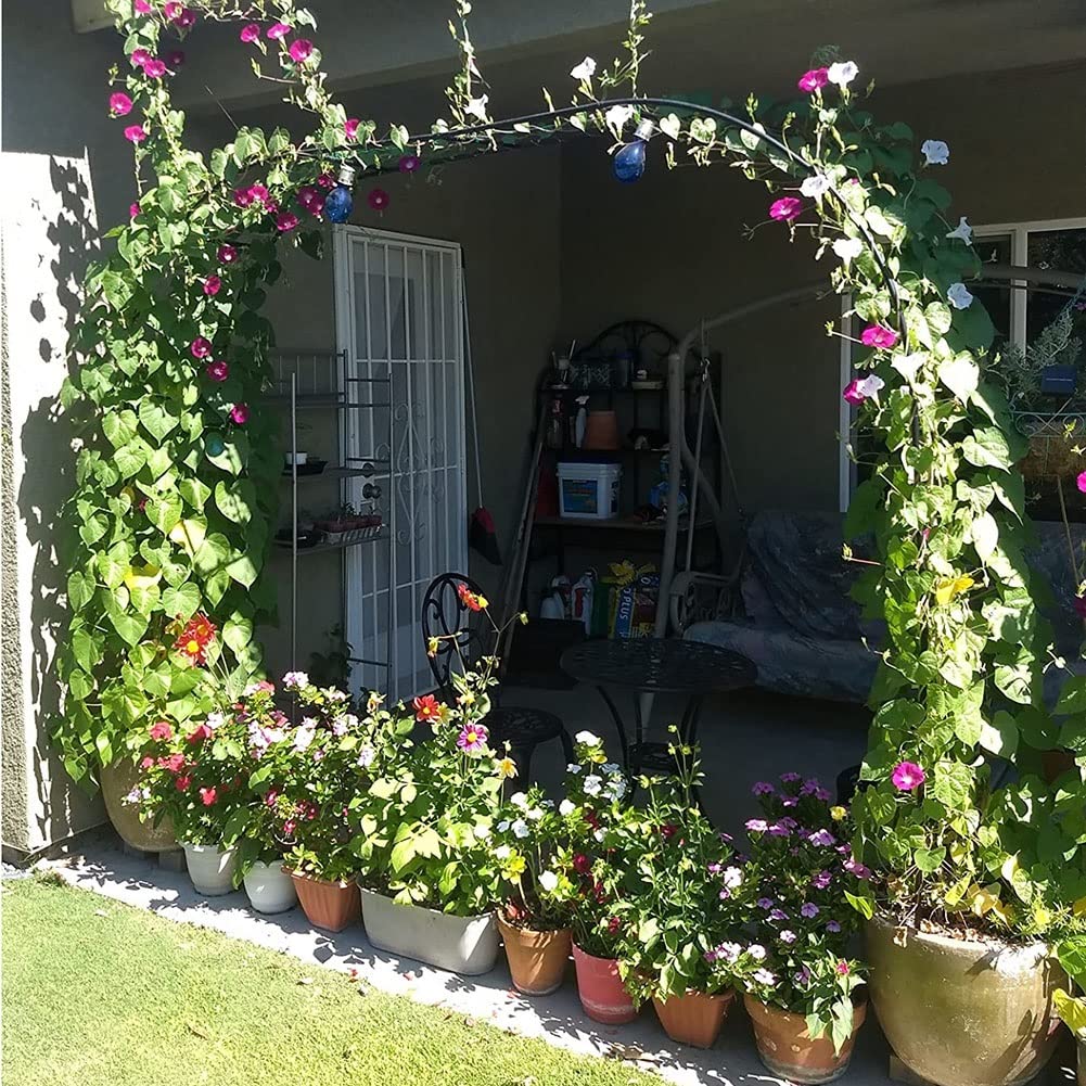 Generic Tuin Arches Metaal Sterk, Rozenboog Halve Zijde Voor Klimplanten Buiten Weerbestendig, Stevig en Tuinboog Rotan Frame Weerbestendig Ijzeren Pijp(Wit,W260xH240xD40cm