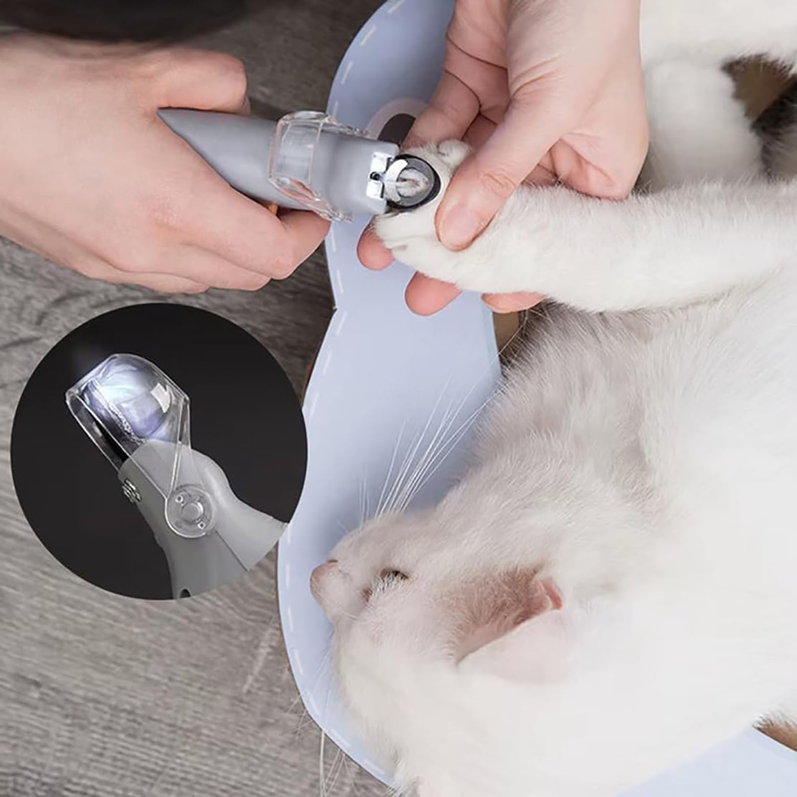Nagelschere, Nagelknipser for Hunde mit Licht, Krallenschere Lupe und for die Krallenpflege von Haustieren