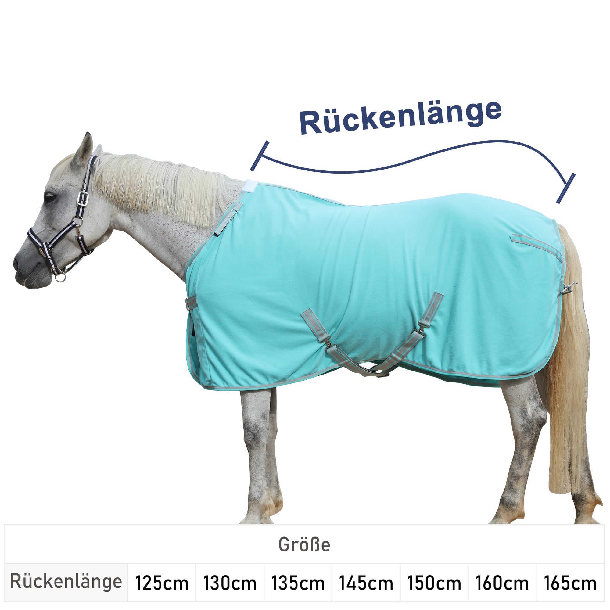 Abschwitzdecke Pferd mit Kreuzbegurtung & Schweifriemen – 300 g/m² Fleece mit Widerristpolster – Schweißabsorbierend & Schnelltrocknend – Pferdedecke für Training, Stall & Transport