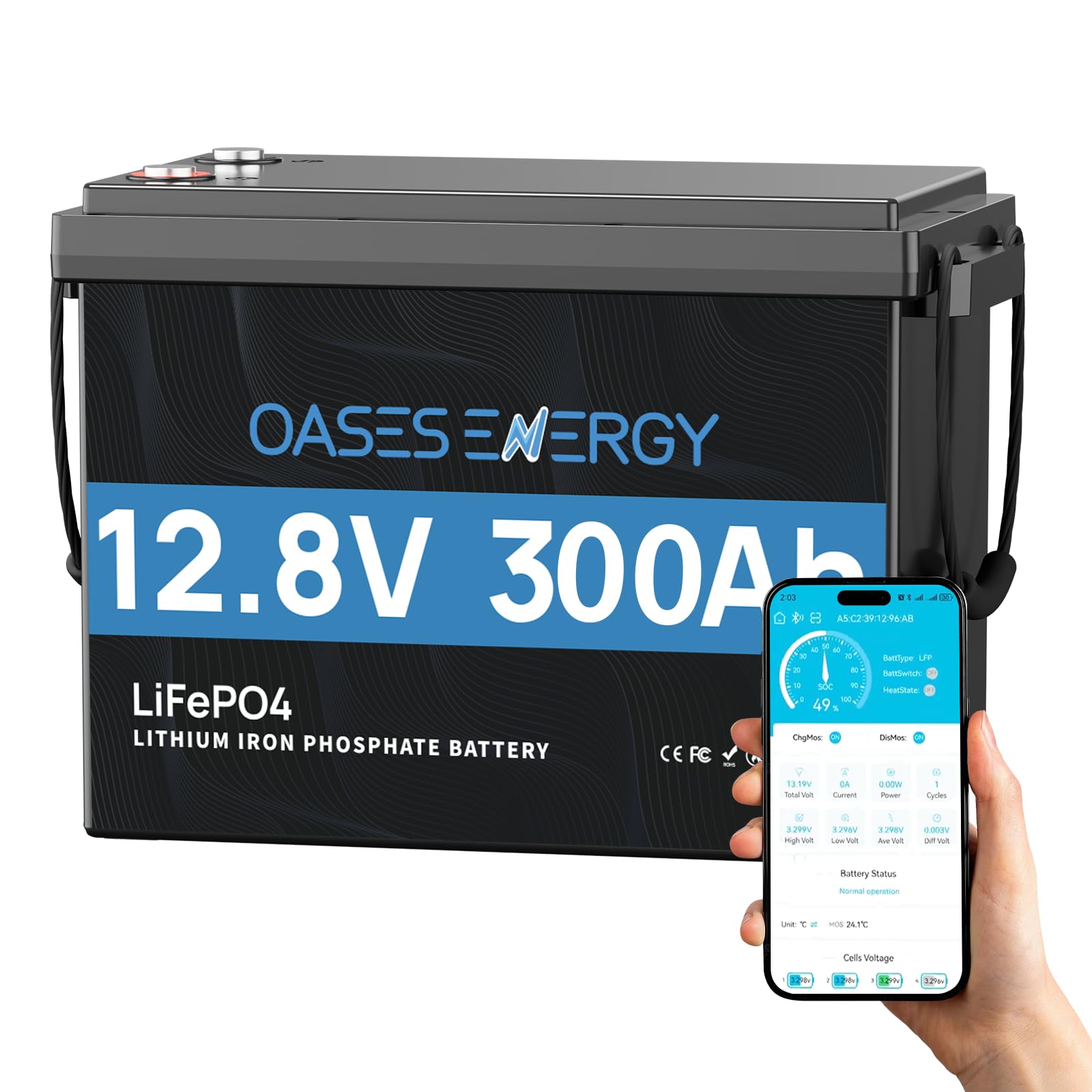 Batterie Lithium 12V 300Ah LiFePO4 Mini, Batterie lifepo4 avec 200A BMS Protection Basse température, 3840Wh 12V pour système Solaire, Camping-Car, pêche à la Ligne, caravanes