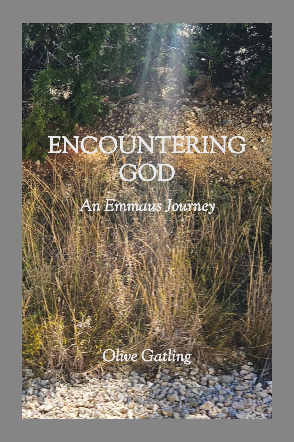 Encountering God: An Emmaus Journey