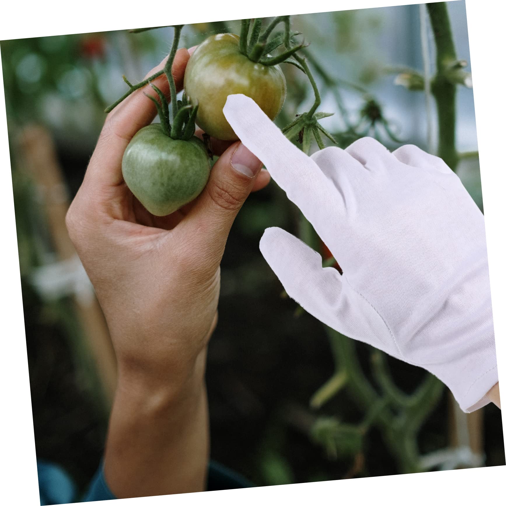 Hemobllo 8pares Guantes De Jardinería De Thin Antideslizantes Comodidad y Flexibilidad Para Uso Exterior