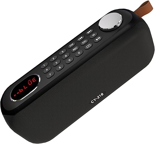 Altavoz Bluetooth portátil con radio FM digital, compatible con tarjeta USBSD MP3 PlayAUXREC, batería recargable incorporada de 3000 mAh, altavoz de