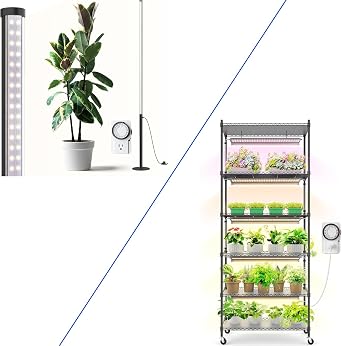 Barrina T10 Pro Standing Grow Light with Timer and CX2 Plant Stand with Grow Lights for Indoor Plants