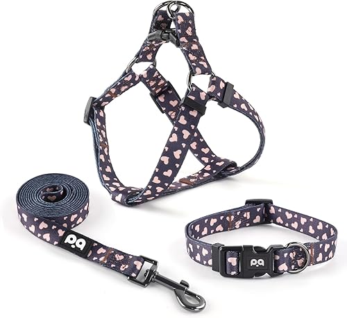 QQPETS Arnés para perro con correa sin tirones ajustable para mascotas, clip trasero halter, collar básico, resistente, correa antitorsión de 5