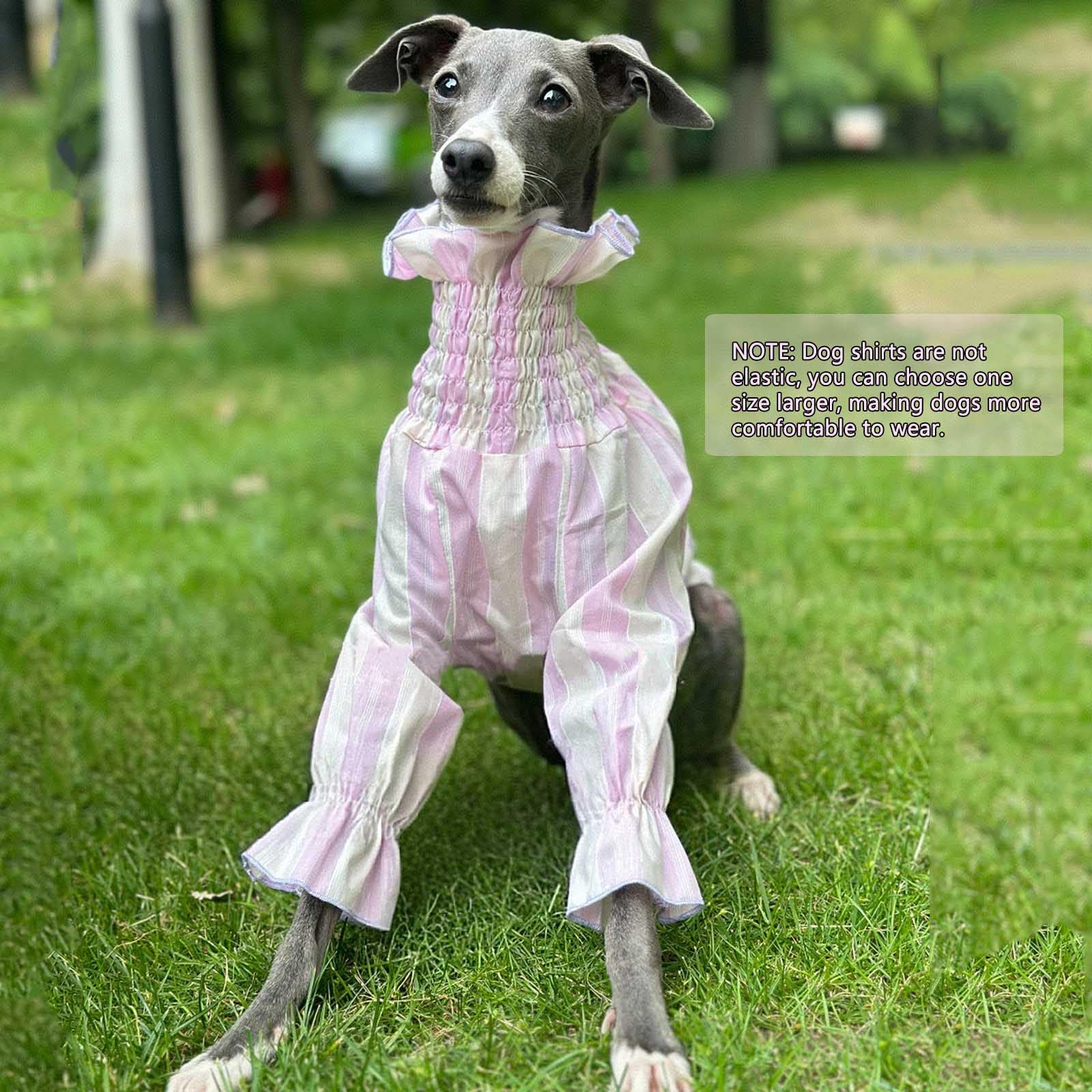 Camisa de Galgo Italiano Camiseta de Perro de niña Linda Jersey de Perro Suave y Fresco Mangas largas Raya Transpirable Ropa de Perro Primavera Verano Pijama de Perro Fiesta de Bodas