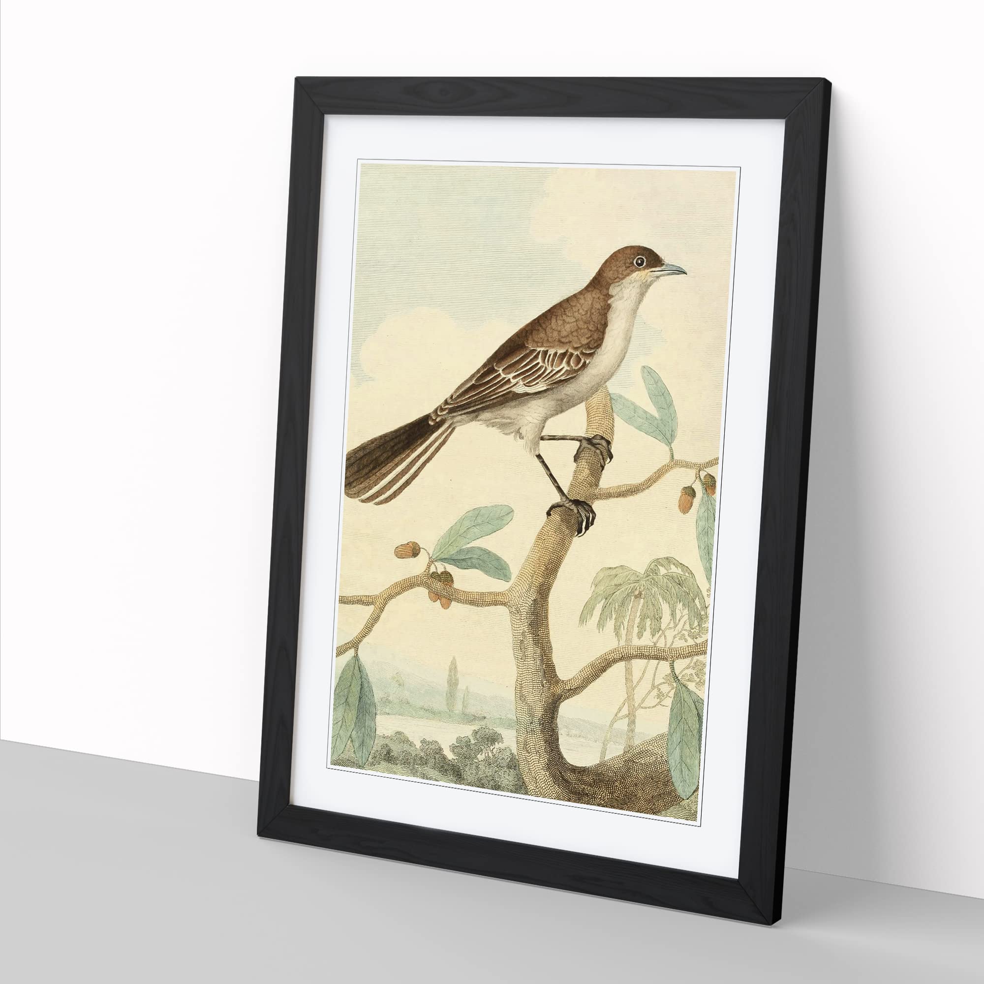 Vintage Charles R Ryley Mocking Thrush Vintage Framed Wall Art Print - Image 3