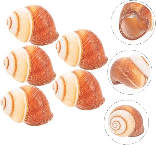 Miniatura 8 de PRETYZOOM 3sets Escargot Conchas Gruesas Hornear Caracol Conchas Estilo Francés Suministros Hogar Seguro Escargot Material de Cocina 5 unids*3