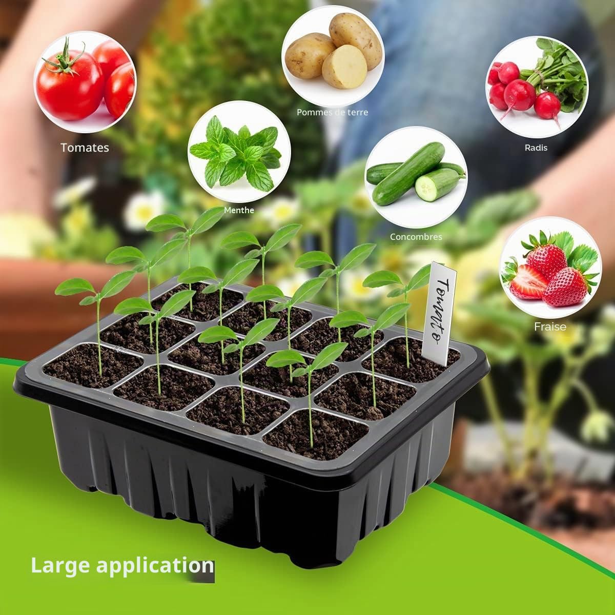 8 Pièces Mini Serre pour Semis, 96 cellules Serre Interieur Plateaux de Culture Semis Bacs à Semis Kit de Germination Interieur avec Couvercle pour Plantes Tomate, Noir