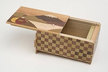 71MxgUdfEZL._AC_UF350,