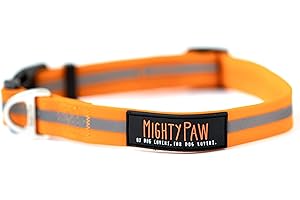 Waterproof Reflective Dog Collar: Odor-Free Adventure Companion