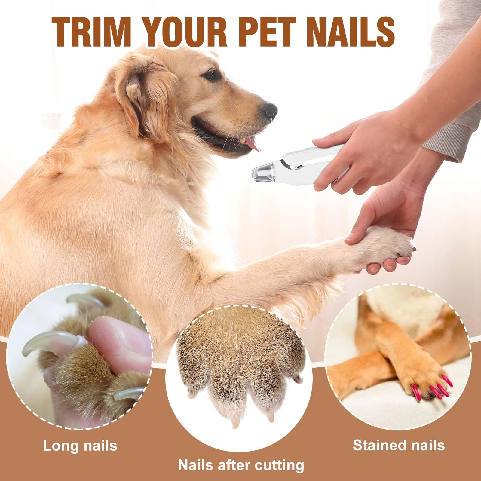 Tagliaunghie 2 in 1 per animali domestici, con ricarica USB, silenzioso, meno di 40 decibel, tagliaunghie per cani di grossa taglia e gatto, doppia luce LED, adatto per tutti gli animali domestici