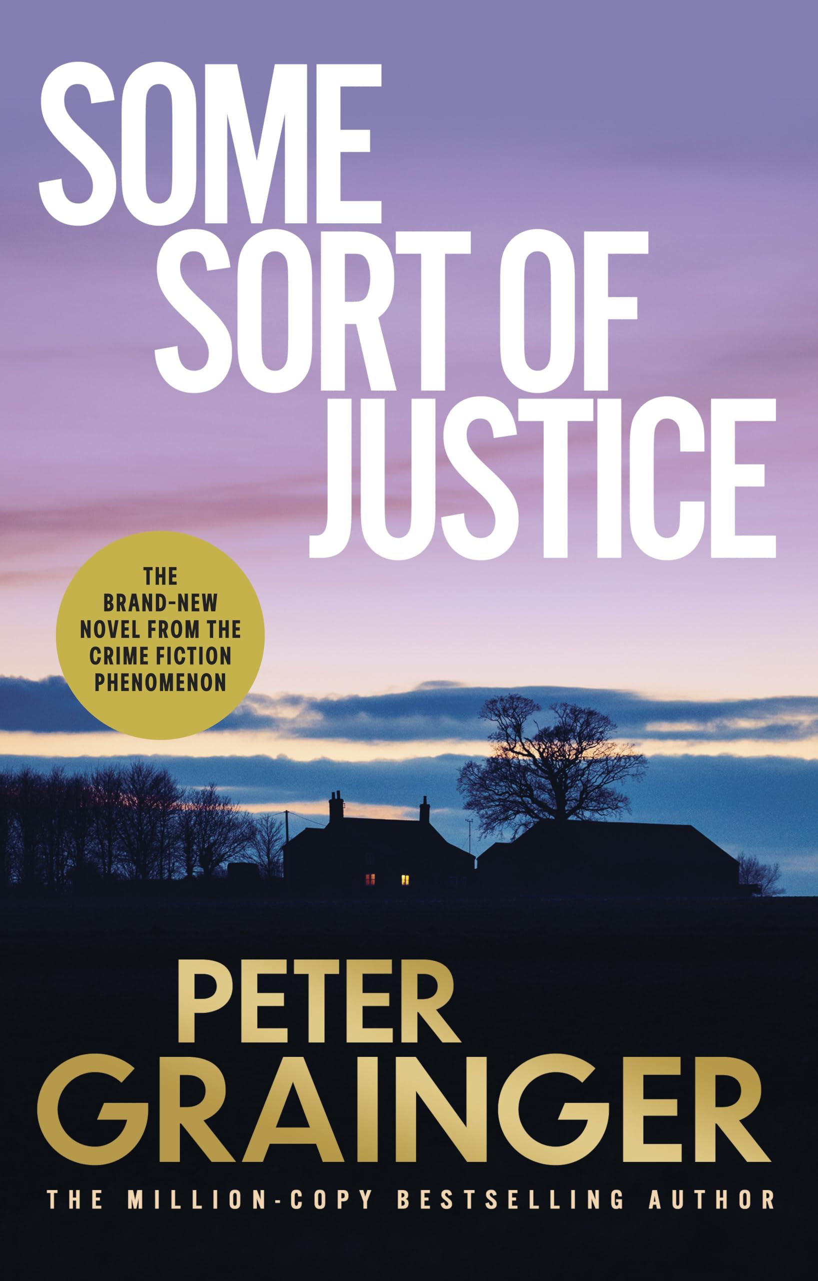 Some Sort of Justice: The gripping new detective mystery from the million-copy-selling crime author: 17 (A DC Smith / Kings Lake Investigation Series, 17)