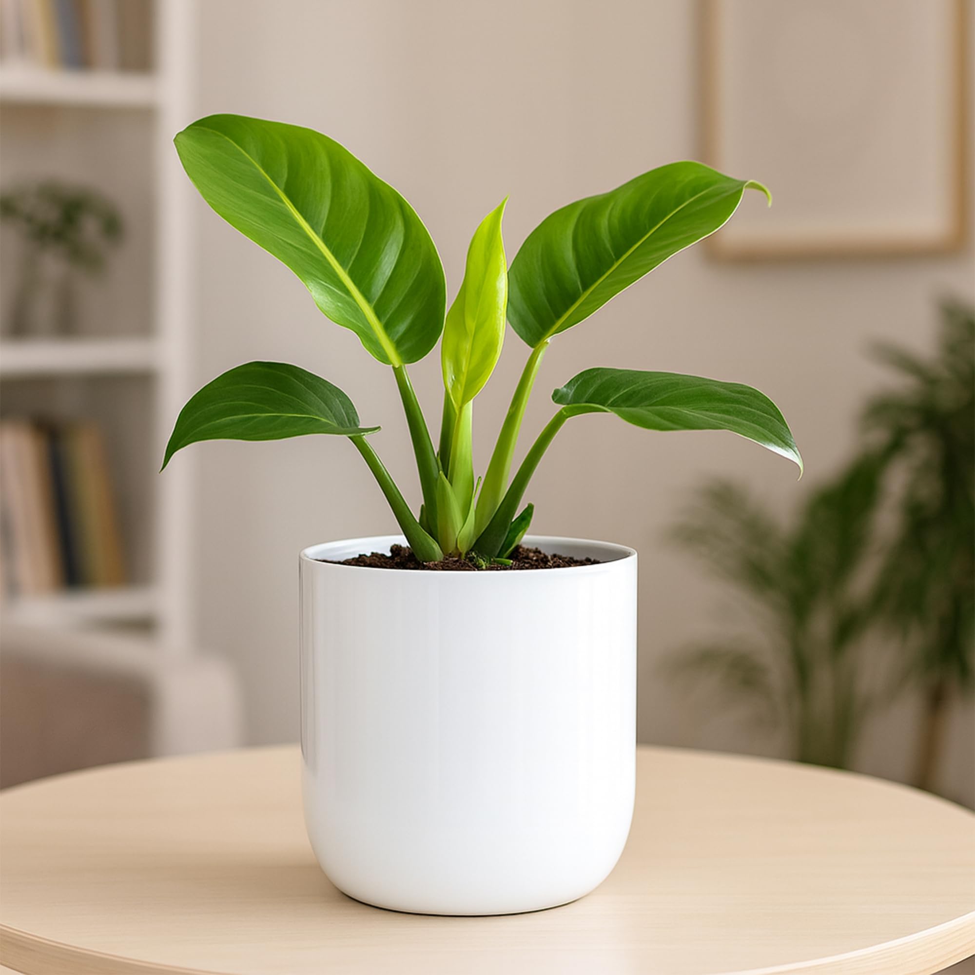 Metallic Miniature Planters - Gold Set of 2 -12