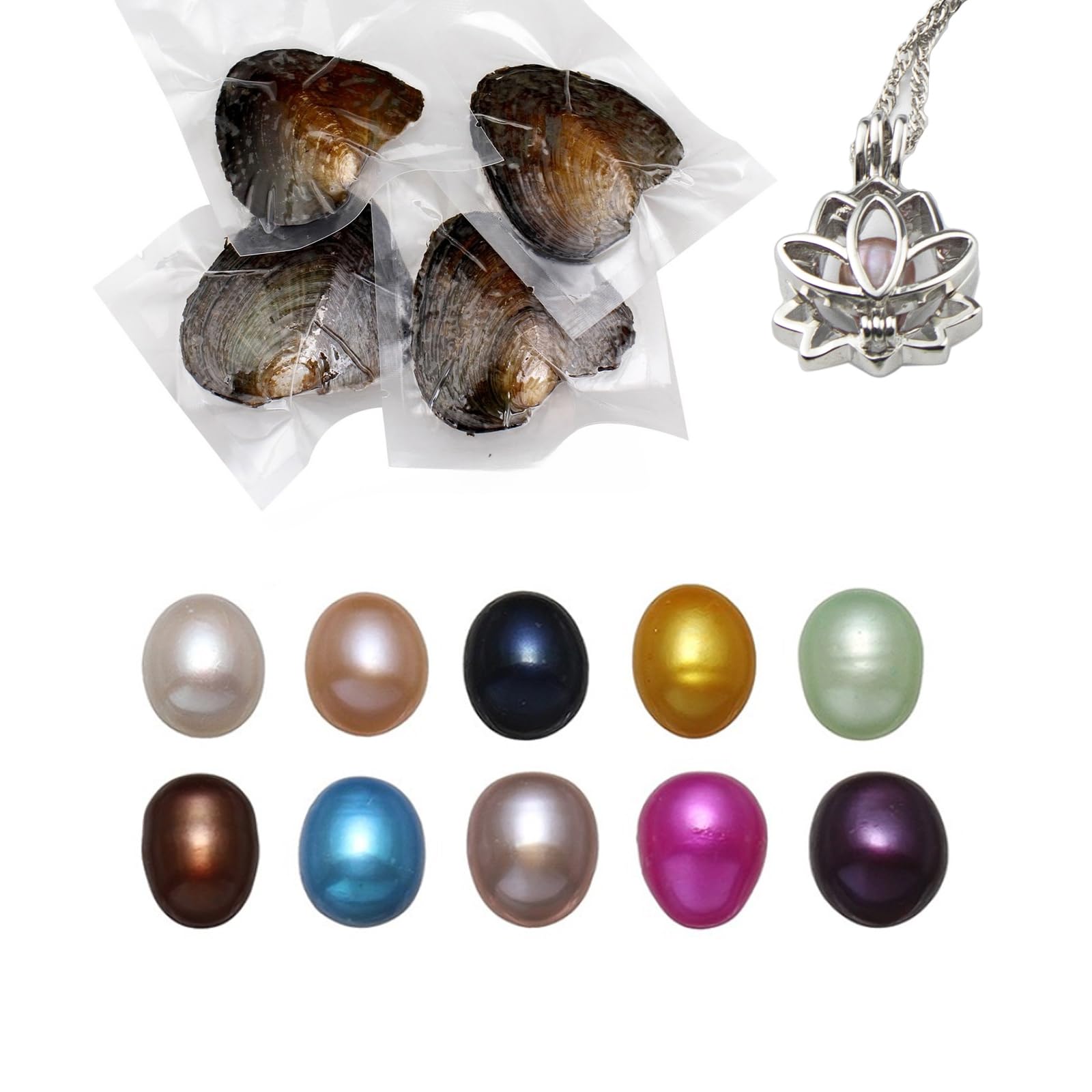 kiss me Oysters with Pearl Inside, Natural Oyster Pearl with DIY Necklace Making kit