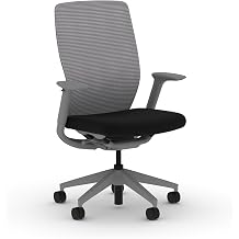 HON Flexion Mesh Office Chair, Height Adjustable Arms, Conference Room Chairs with Lumbar Support, Titanium Mesh, Titanium Frame, Black