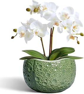 6 Inch Plant Pot - Orchid Pot with Drainage Hole, Ceramic Planter for In...