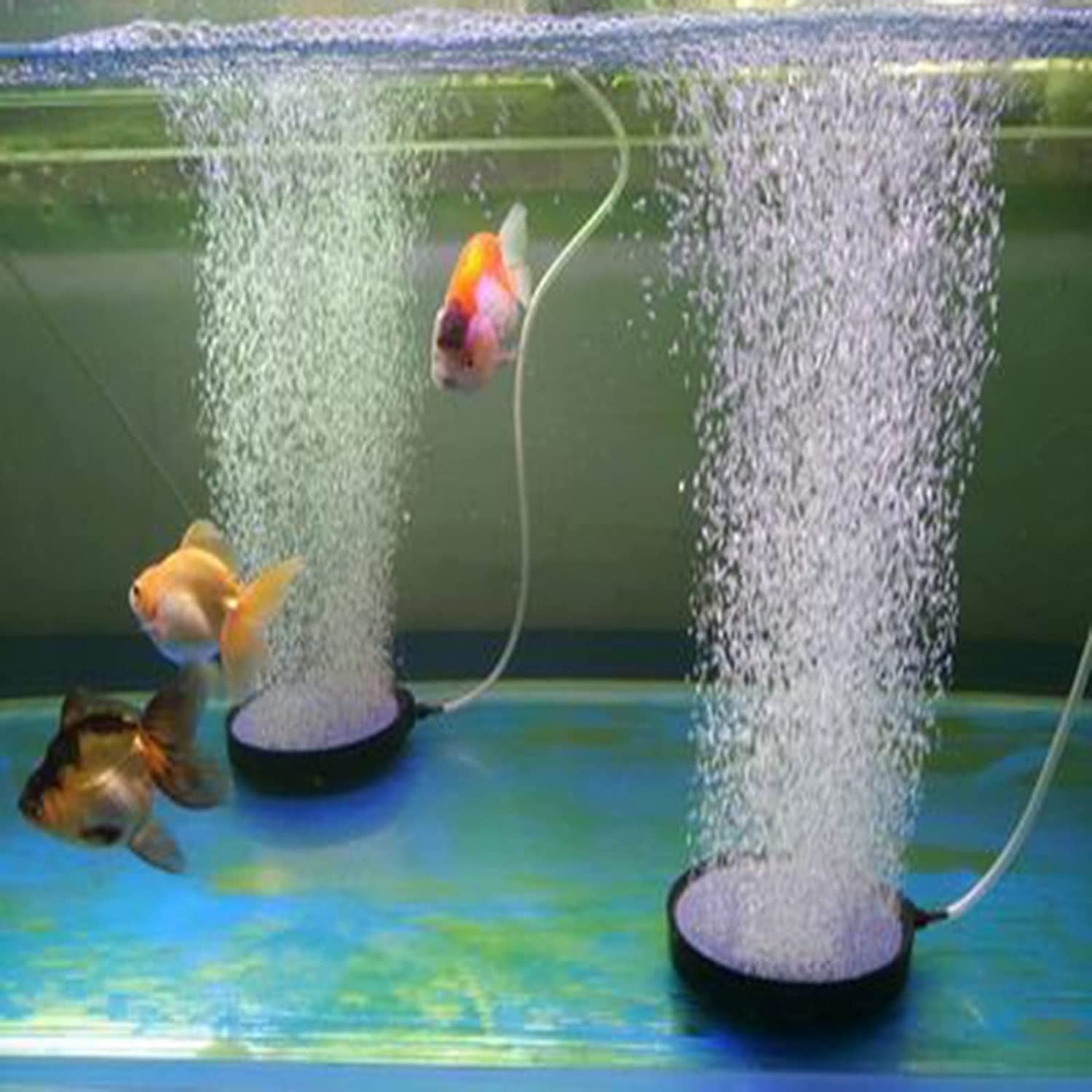 Boon Bruissteen Rond | Aquarium | Bestellen