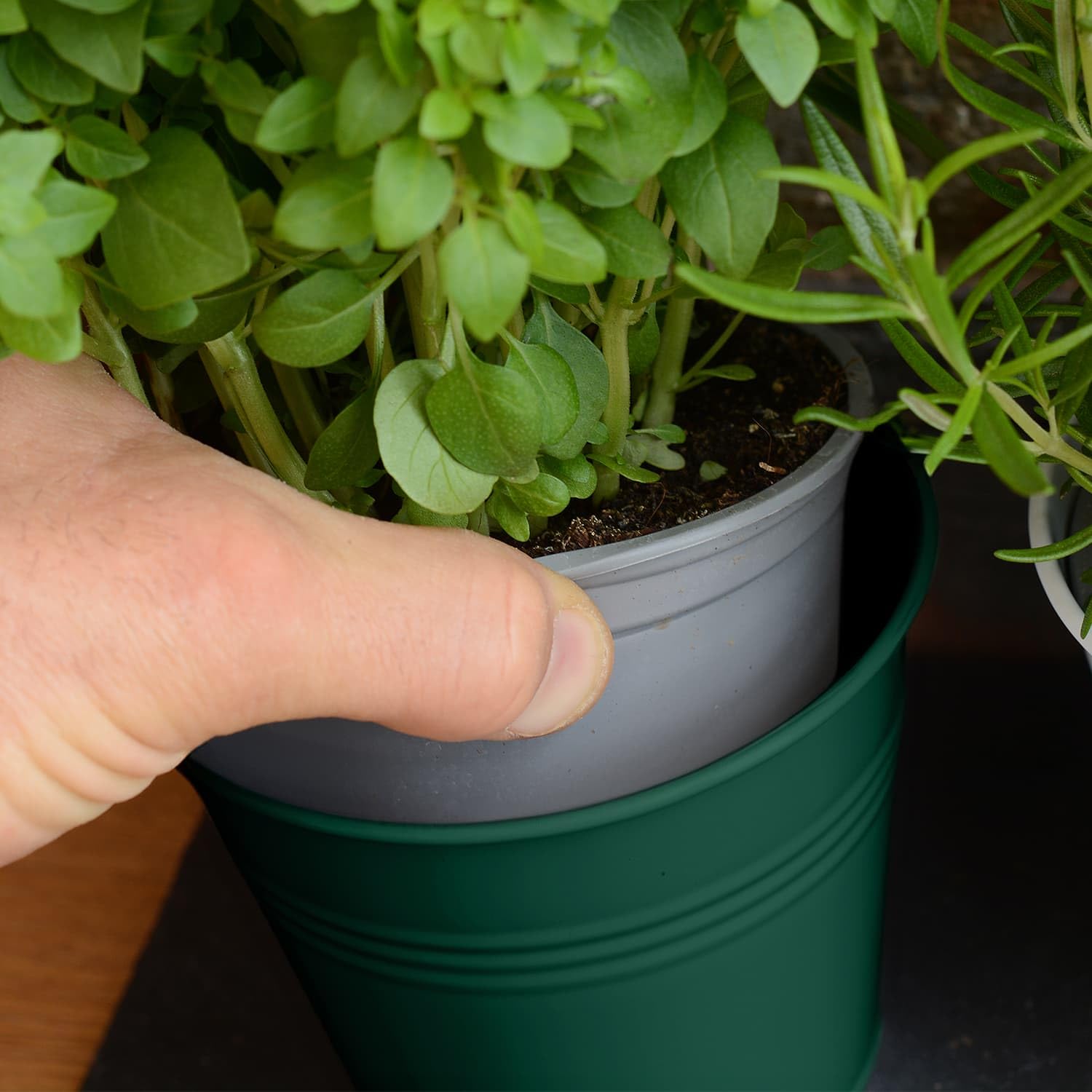 CKB LTD Lot de 3 pots de fleurs en métal pour herbes avec bac d'égouttement - Jardinière traditionnelle pour rebord de fenêtre d'intérieur - Jardinière colorée pour la cuisine - Cultivez vos propres