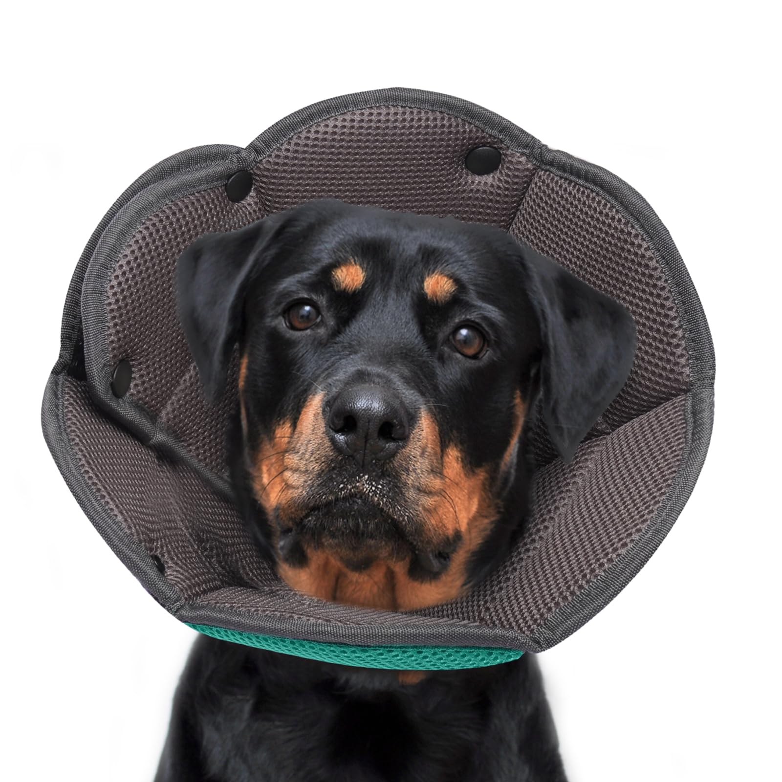 Hjyokuso Dog Cone Collar XL, Soft Cones for Large Medium Small Dogs,Adjustable Dog Cone Alternative to Stop Licking