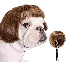 HOWWFALY Dog Costume Cat Apparel Dog Toys Curly Braids Headgear Wigs Styling Cute Funny Pet Hair Accessories Decoration for Halloween, Christmas, Parties(Flax)