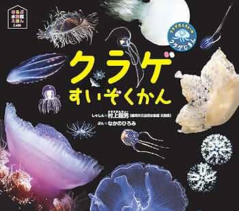 71My1bYAgCL._AC_UF350,