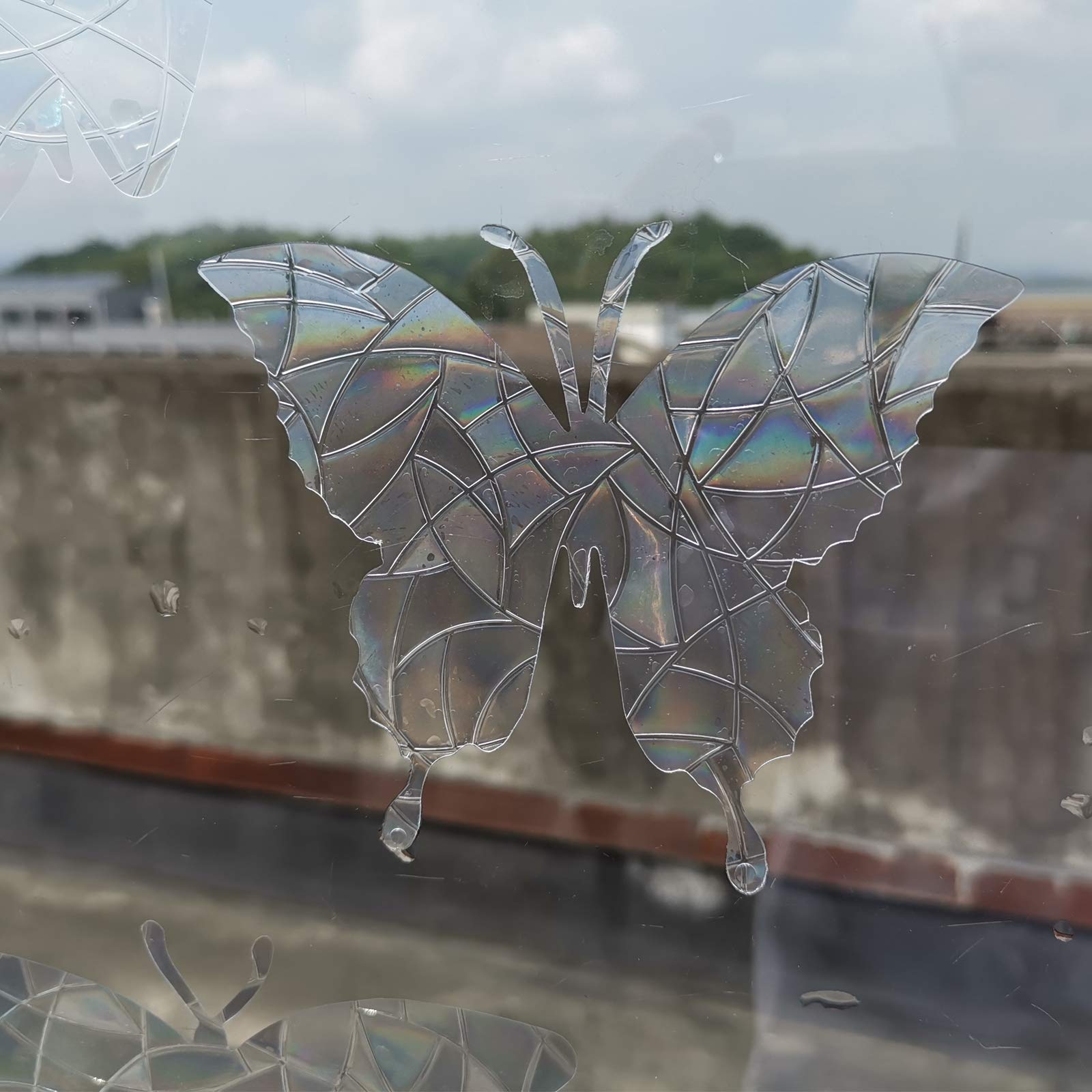 Buy Butterfly Static Window Clings Anti Collision Window Decals for