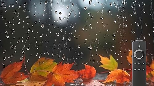 Meditação da chuva de outono - sons relaxantes e vídeo para Sono Profundo-experiência Premium para T