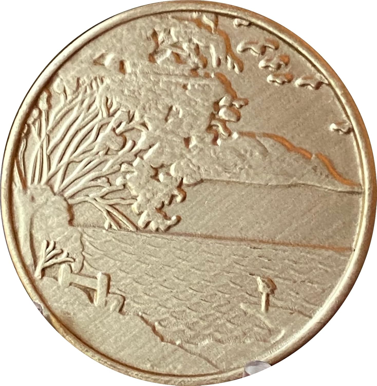 wendells Bulk Lot of 25 Serenity Lake Bronze Medallions Serenity Prayer Chips