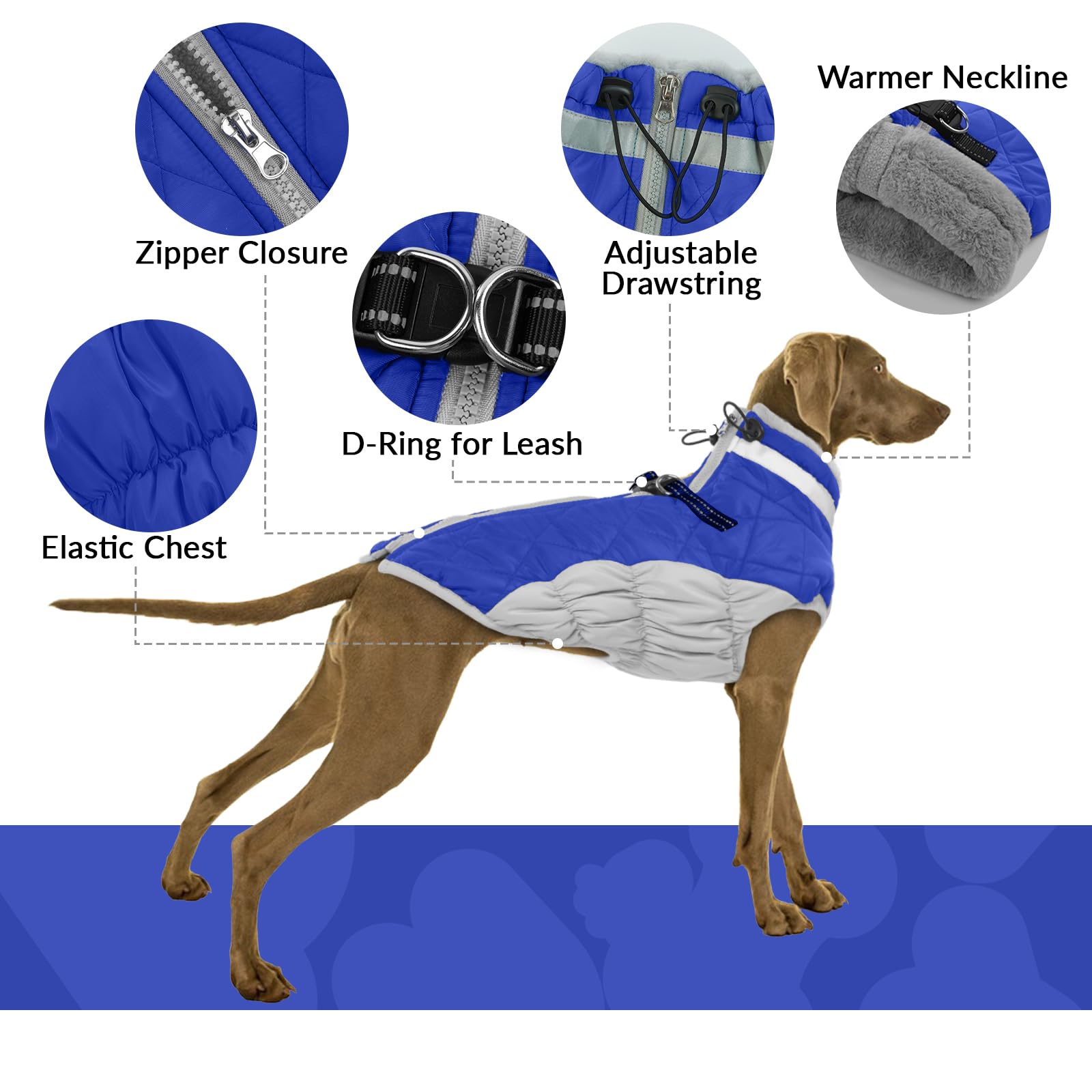 Piumino Cane XS, Cappotto per Bulldog Francese e Chihuahua, Blu