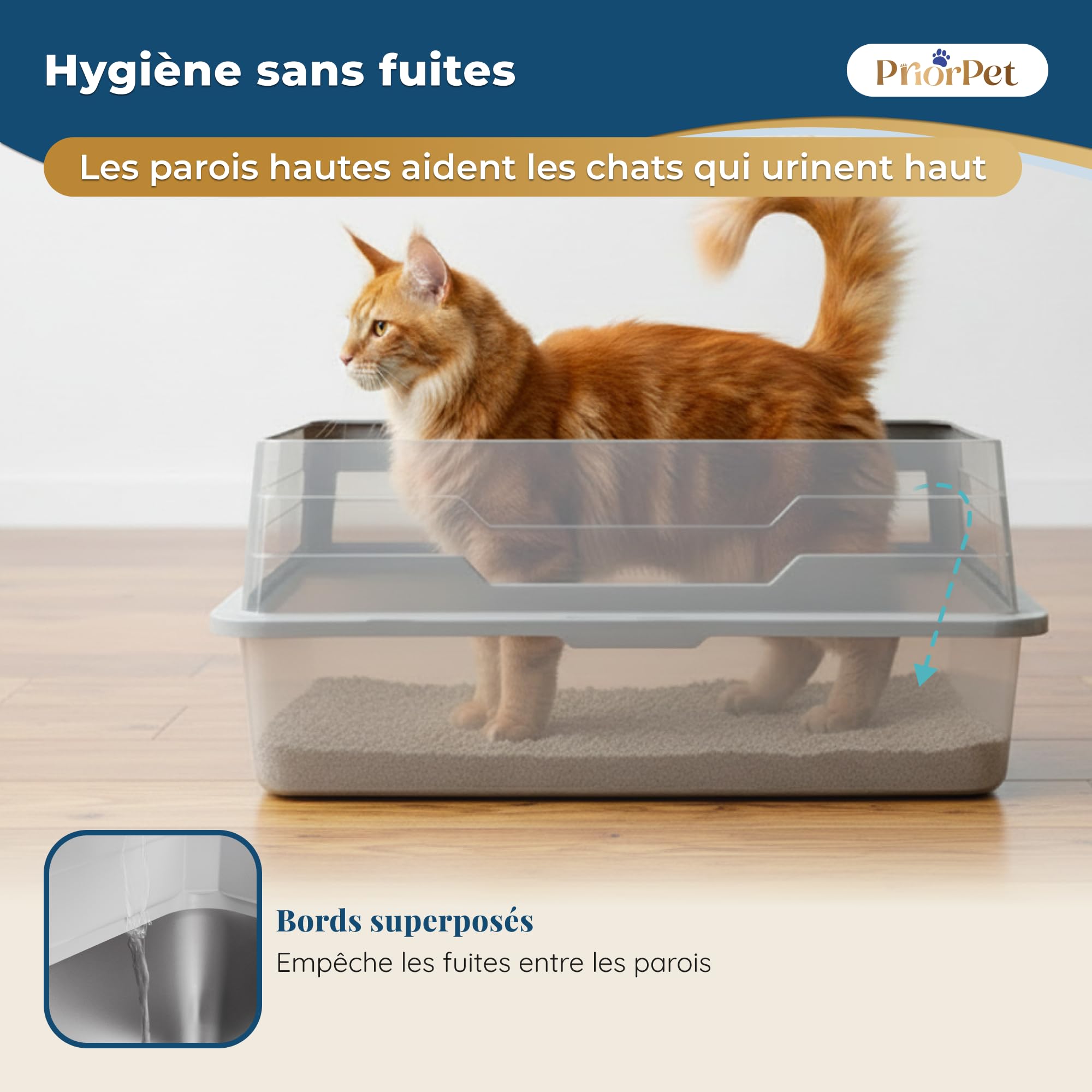 Bac litiere pour Chat INOX XXL Grand – Bac à litière pour Grands Chats & 2 Chats – Litiere Chat XXL Maine Coon – Grande litiere, Bord Haut, Anti-Fuite, Anti-Odeur – avec Pelle – 71×52×30 cm