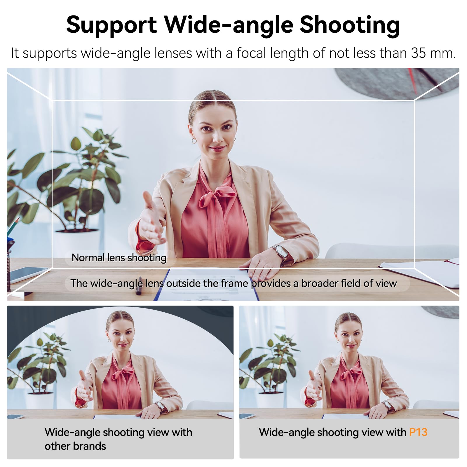 Desview P13 Telepromptor 13" in lega di alluminio regolabile verticalmente per iPad/tablet con telecomando, custodia per il trasporto, app gratuita - ideale per filmmaking, Live Selfie & Vlogging